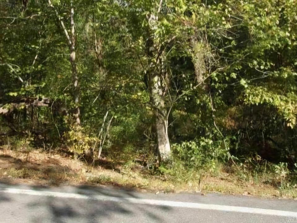 2nd image of 1 Lake Norrell Rd
