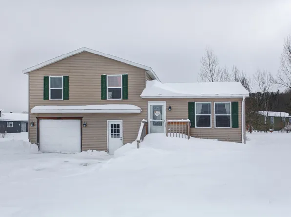 5341 Revella Ln, Grawn, MI 49637