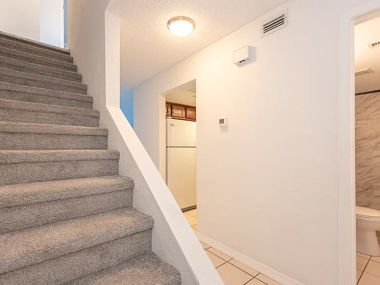 246 Timberline Trl — Photo 23