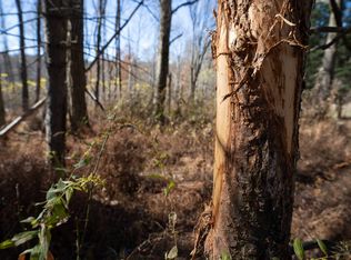 0 Earl Ansell Rd, Rockwood, PA 15557