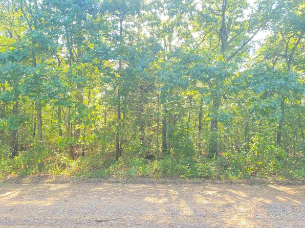 Red Oak St, Pleasant Plains, AR 72568