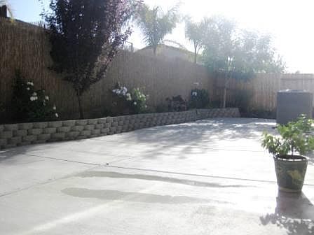 Backyard Pict