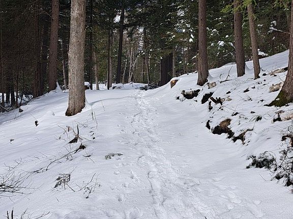 4th image of 1992 Smith Rd