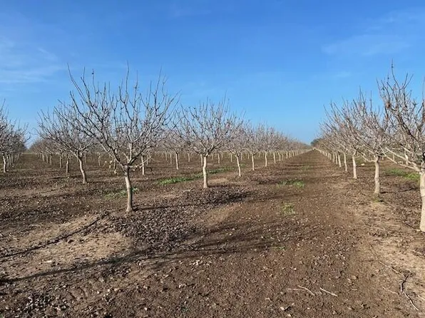 Ave 100, Terra Bella, CA 93270