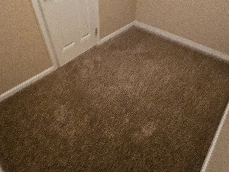 501 Neel St #203 — Photo 8