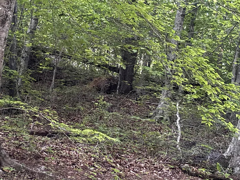 865 Lynn Camp Church Rd — Photo 20