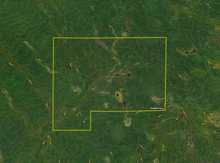 3437 Blueberry Hill Rd LOT WP001, Two Harbors, MN 55616