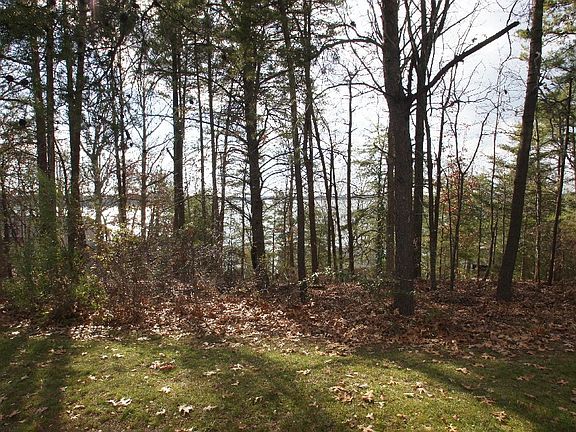 5th image of 16433 Belle Isle Dr