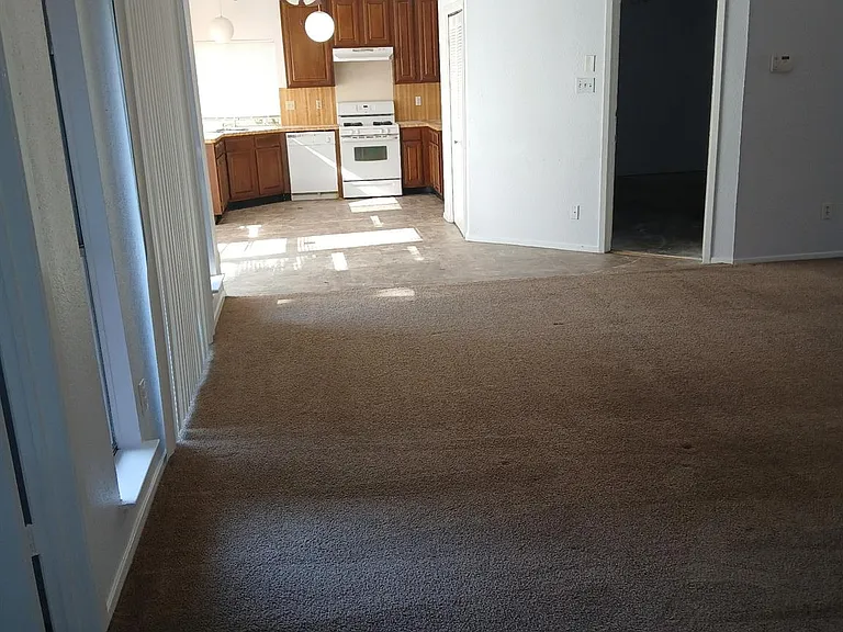 10211 Golden Sunshine Dr — Photo 18