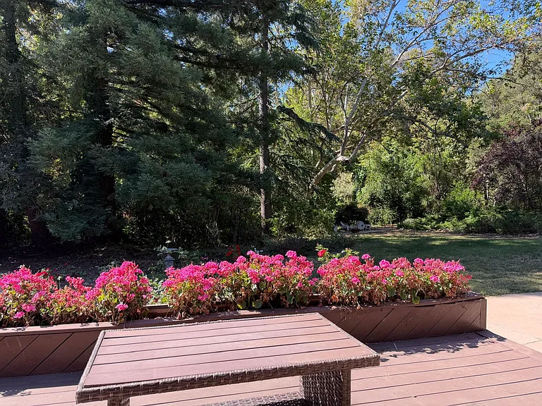 Backyard Patio