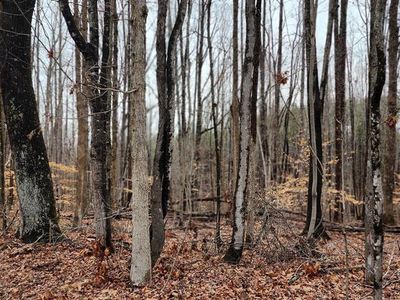 0 Jeremy Creek Rd, Sutherlin, VA, 24594