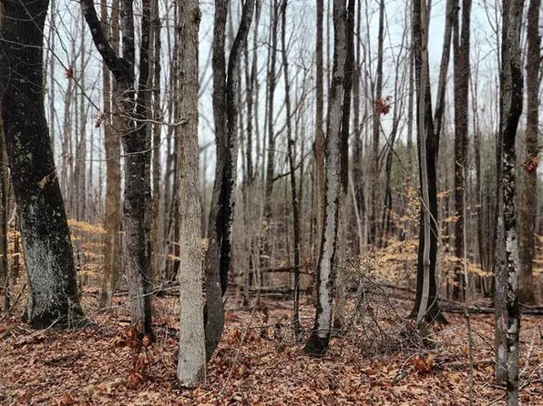 0 Jeremy Creek Rd, Sutherlin, VA 24594