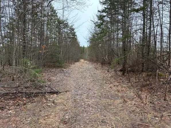 M/l W Pendills Lake Rd, Brimley, MI 49715