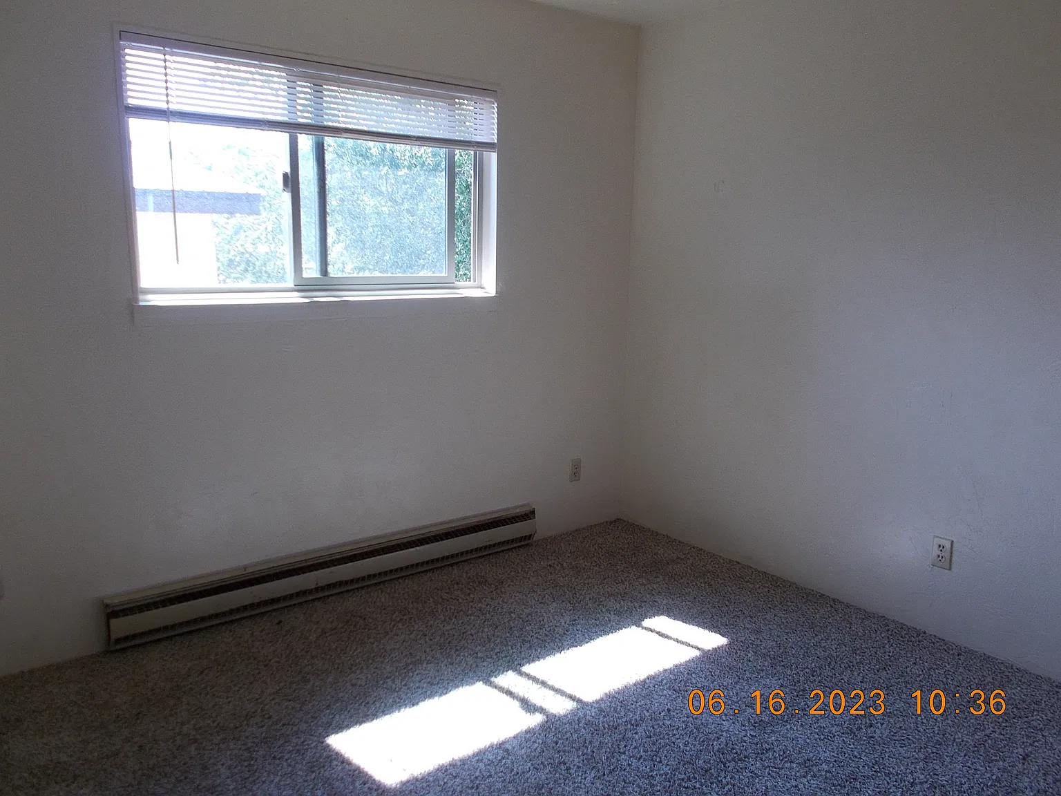 2 bed, 704 sqft, $1,200 — Photo 3