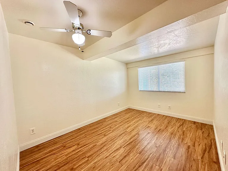 2573 Gum Tree Ln — Photo 43