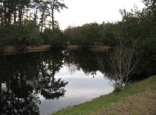 6888 Buckhorn Rd, Ravenel, SC 29470