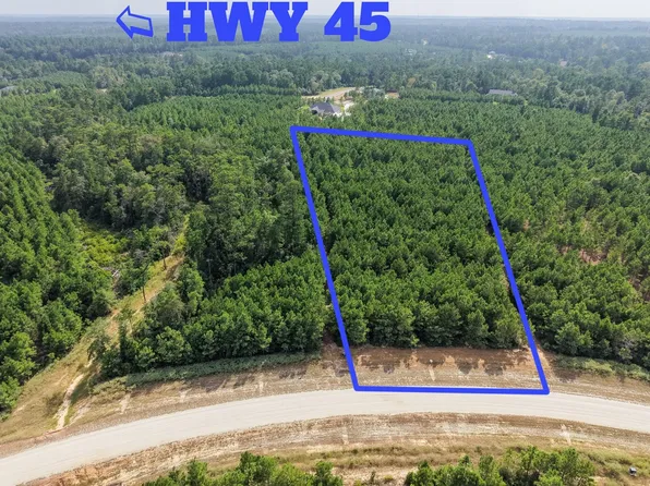 12046 Compassion Ln, Willis, TX 77378