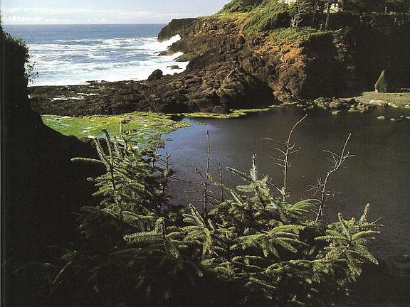 4th image of 88 Breakers Scarp
