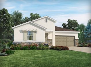 13825 Kinsale St, Riverview, FL 33579