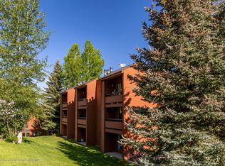 1117 Vine St #1117, Aspen, CO 81611