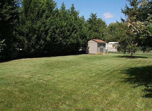back yard view
