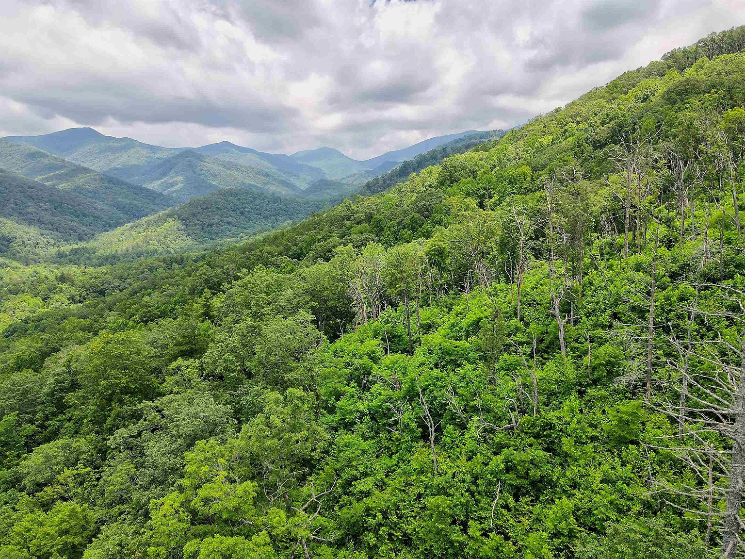 0 Tate City Rd, Clayton, GA 30525 Zillow