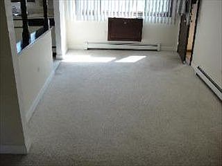 5th image of 245 N Walnut St #1