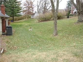 5th image of 1011 Jackson Dr