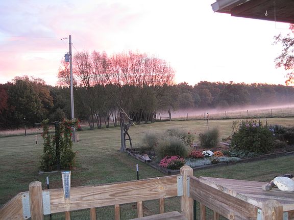 Morning mist over garden