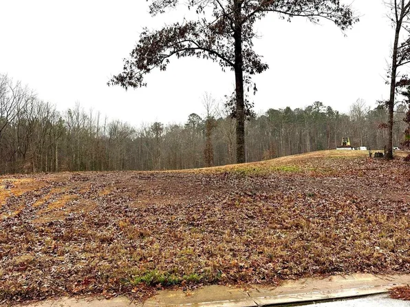 25 Olivia Ln #1, Woodstock, AL 35188