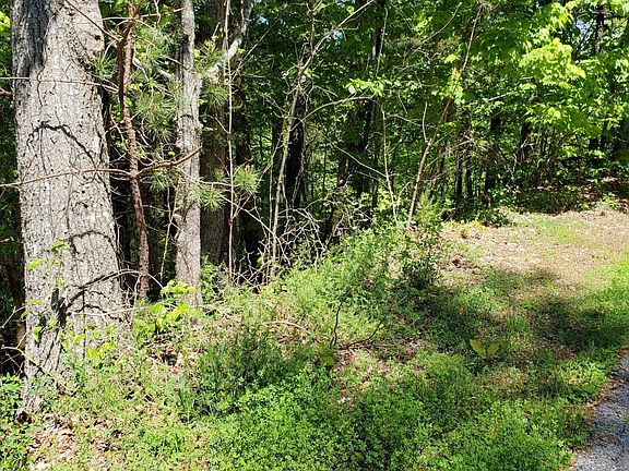 2nd image of 0 Walnut Ct Lot 1178