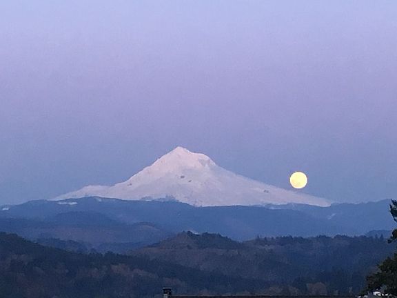 View from deck #1