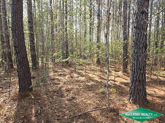 4th image of 0 Cypress School Rd