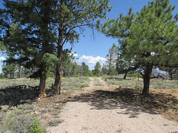 4th image of 809 Schofield Trail