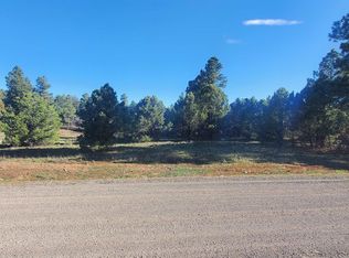 1393 Marmot Dr, Ridgway, CO 81432