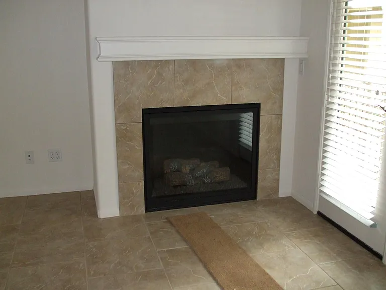 Gas fireplace