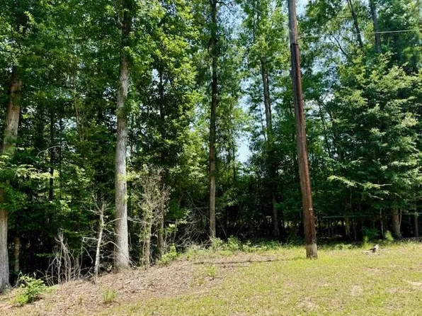 R005286 County Road 153, Jasper, TX 75951