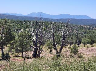 41 & 42 E Antelope Trl, Payson, AZ 85541