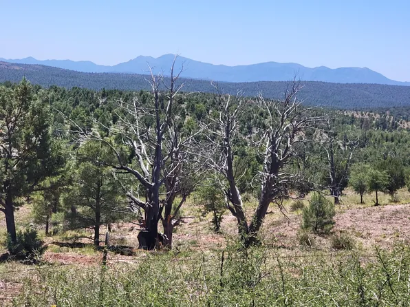 41 & 42 E Antelope Trl, Payson, AZ 85541