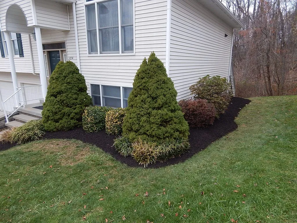 3 bed, 2.5 bath, 1746 sqft, $2,750 — Photo 3