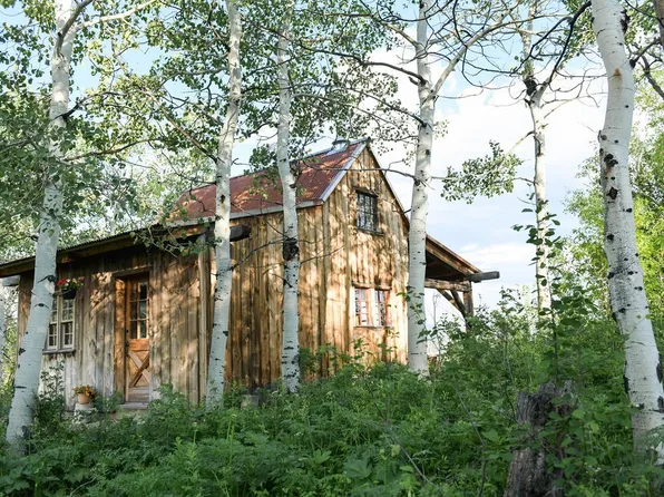 24610 McAlpin Trl, Clark, CO 80428