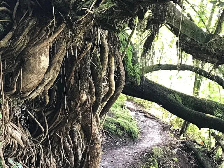 Nearby Hiking