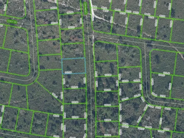 4055 Gerona Ave Lot 60, Sebring, FL 33872