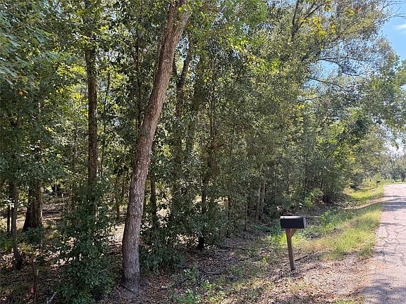 3rd image of 20687 Live Oak Dr