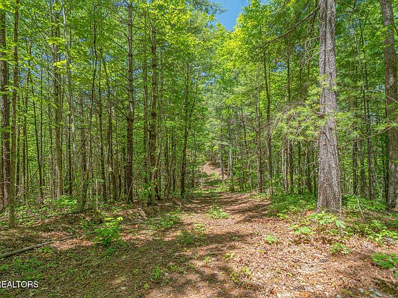 36th image of 2380 Rafter Rd
