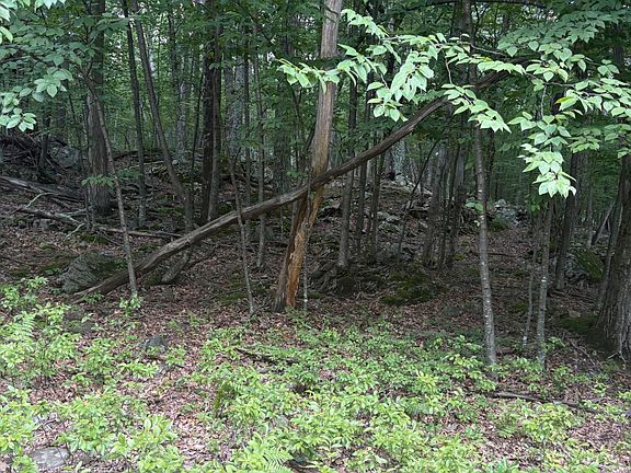 2nd image of LOT 3 Route 739