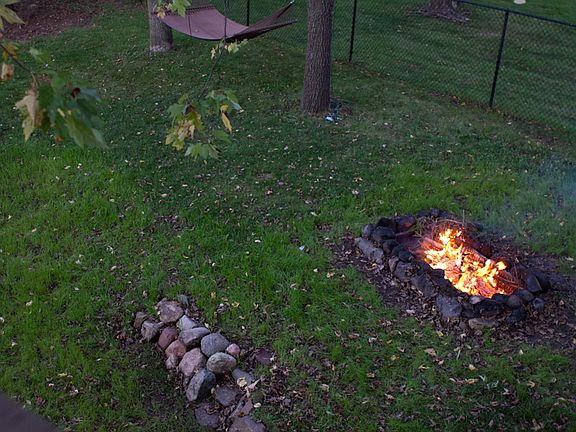 View from tree house