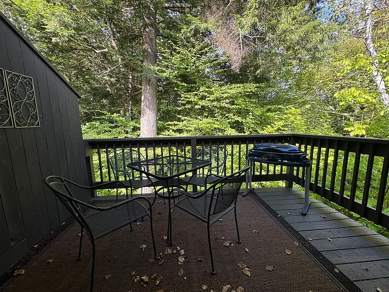 383 Old Quechee Rd #8C — Photo 17