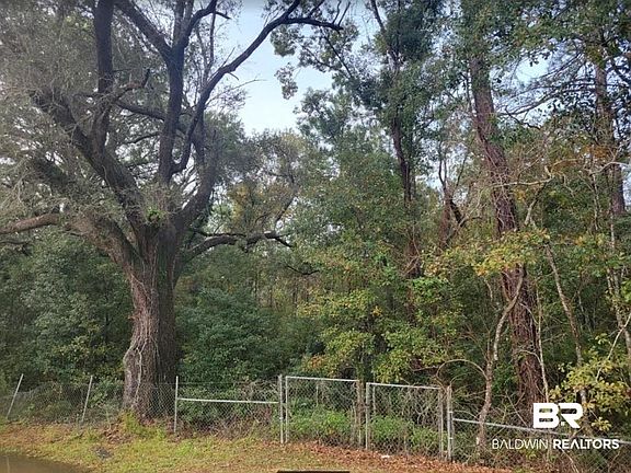 5th image of 15649 County Road 73