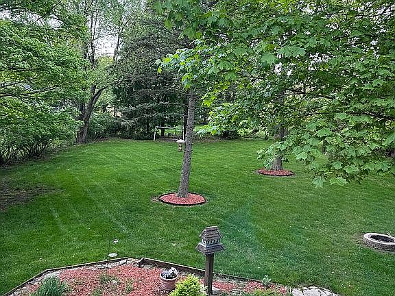 Park like back yard
